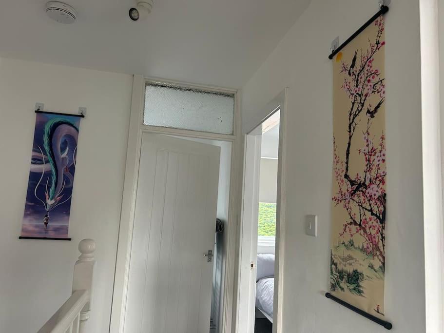 Your Manga House Near Coop Live Ethihad Appartement