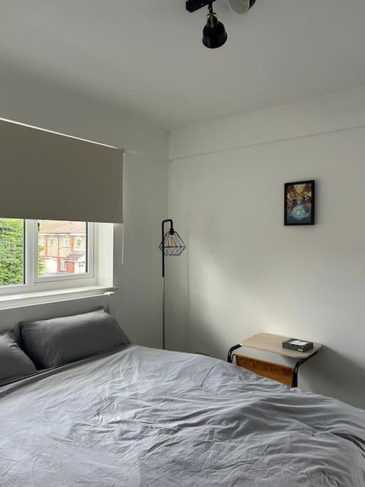 Your Manga House Near Coop Live Ethihad Appartement